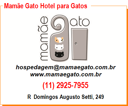 Mamãe Gato Hotel para Gatos