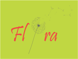Flora Comida Vegetariana